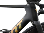 2027 Giant Propel Advanced SL 1 - Raw Carbon