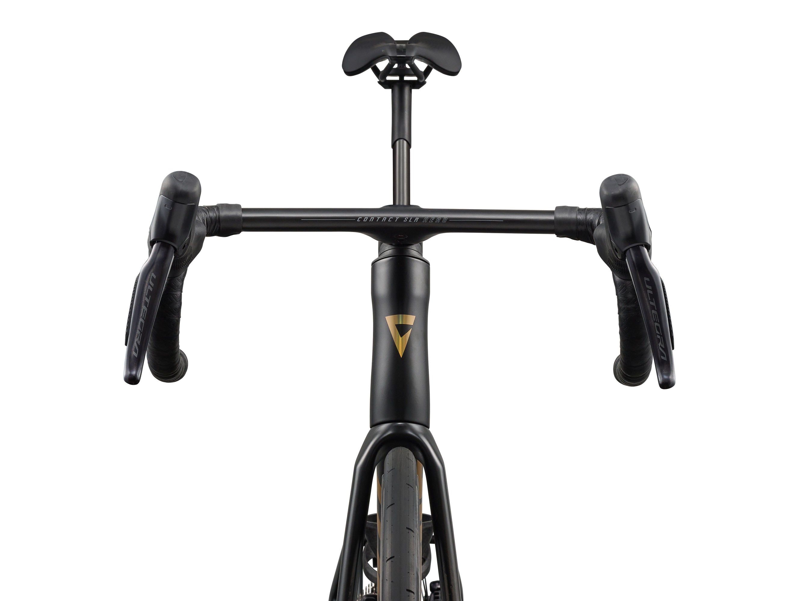 2027 Giant Propel Advanced SL 1 - Raw Carbon