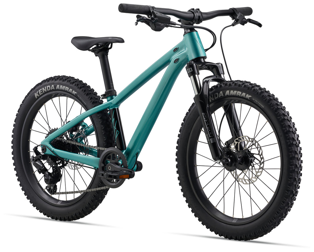 2026 Giant STP 20 FS One Size Teal