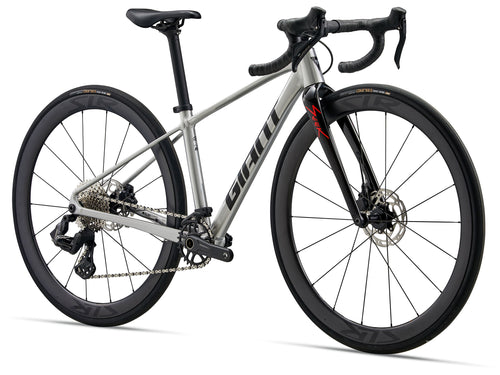 2026 Giant Seek 1 - Raw Aluminum