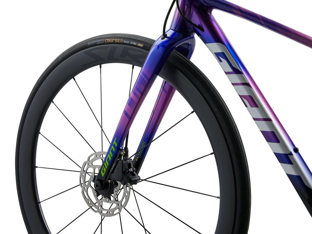2026 Giant Seek 1 - Purple Storm