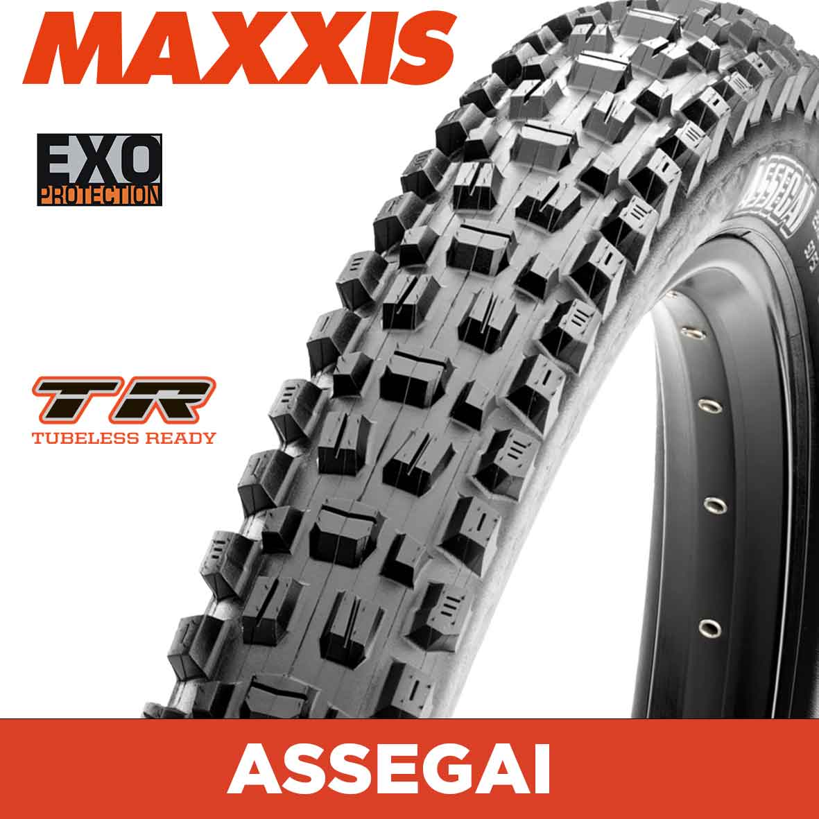 ASSEGAI 27.5 X 2.5 FOLD TR EXO 60TPI DUAL COMPOUND