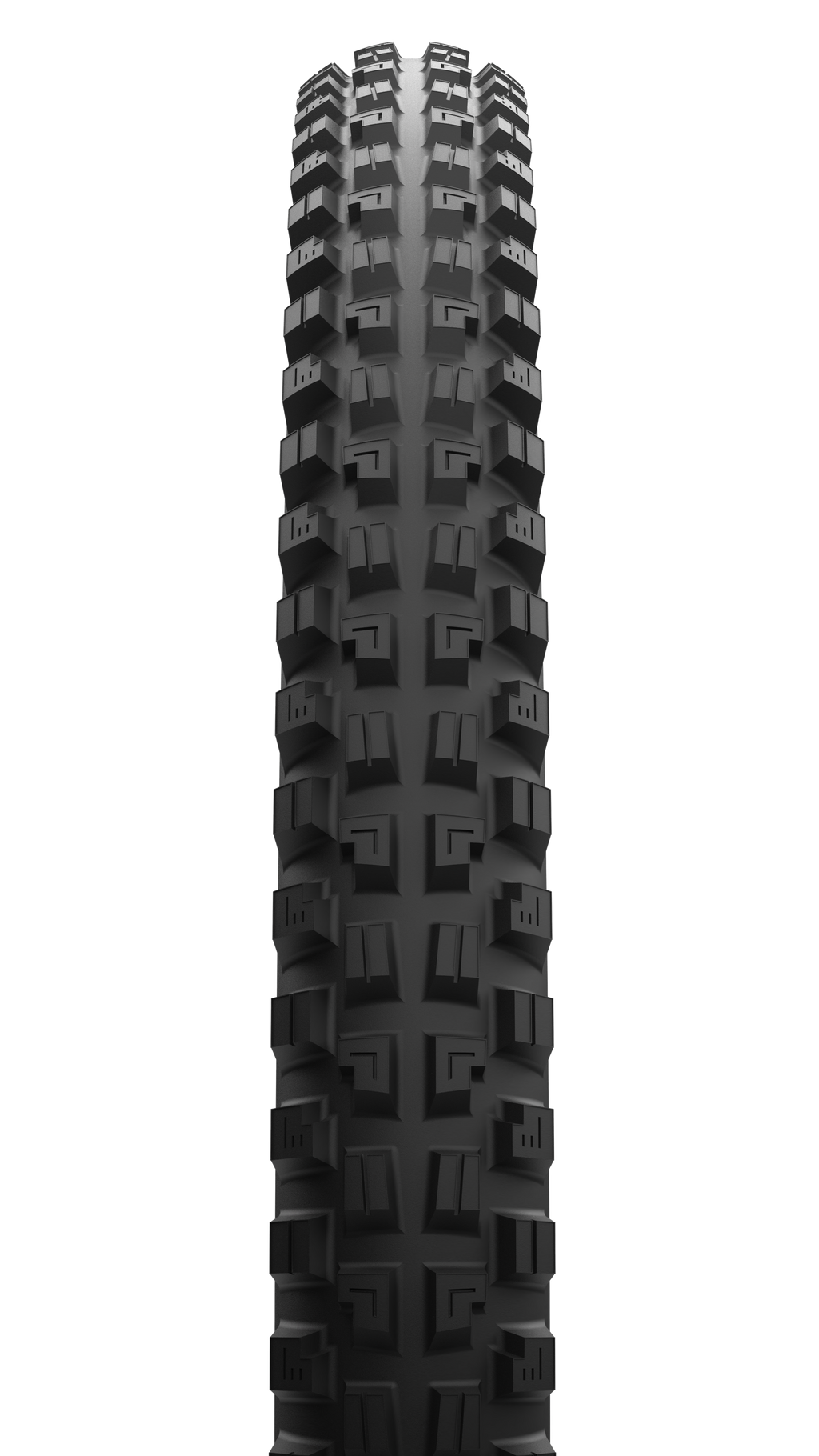 MAXXIS MINION DHX 29 x 2.5 DH SCG TR