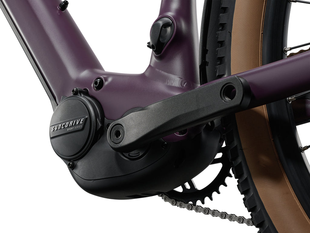 2027 Giant Tempt E+ 2 EX 25KM/H - Tyrian Purple