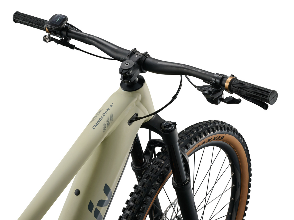 2027 Liv Embolden E+ 1 - Pale Moss/Black