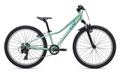 2027 Tempt 24 One Size Pale Emerald
