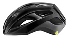 GIANT REV COMP MIPS HELMET