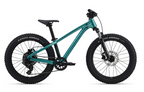 2026 Giant STP 20 FS One Size Teal