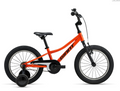 2024 Animator C/B 16 Orange